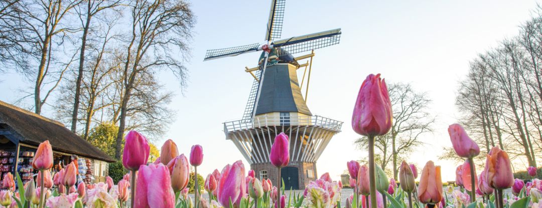 Bloemenshows Keukenhof