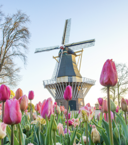 Bloemenshows Keukenhof