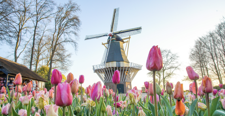 Bloemenshows Keukenhof