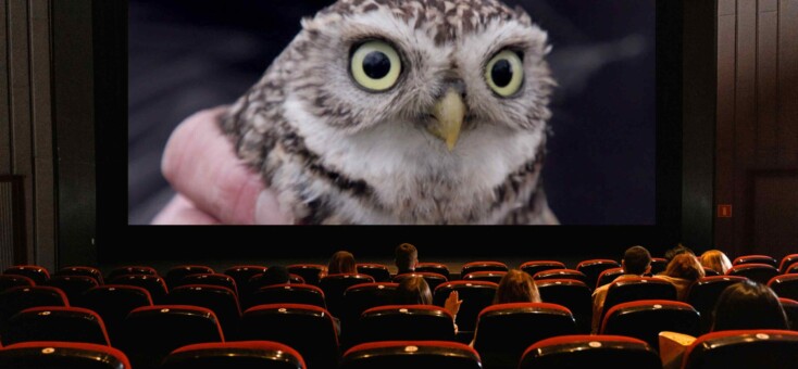 Wildlife Film Festival Rotterdam